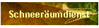 Schneerumdienst